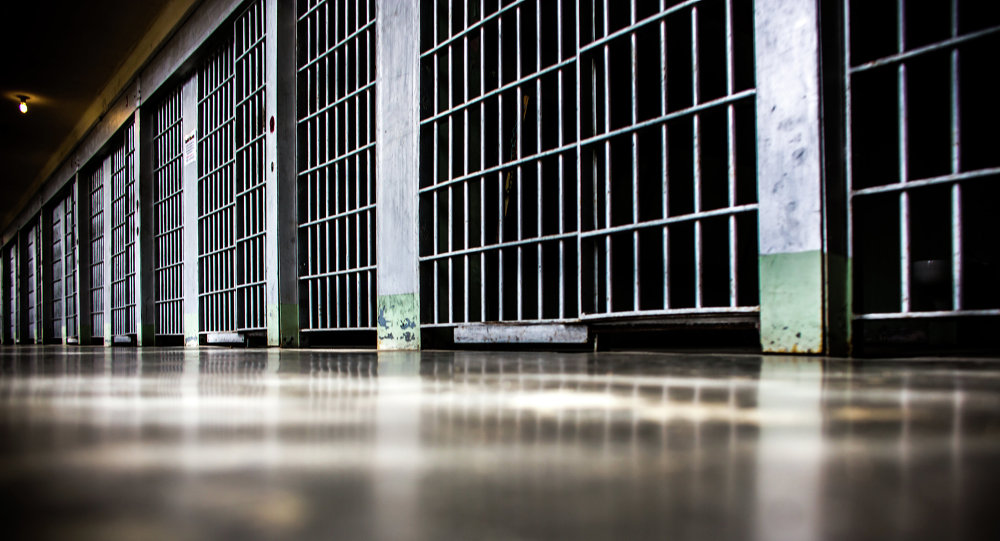 مجازات حبس در نظام کیفری بیش از استاندارد‌های جهانی است
